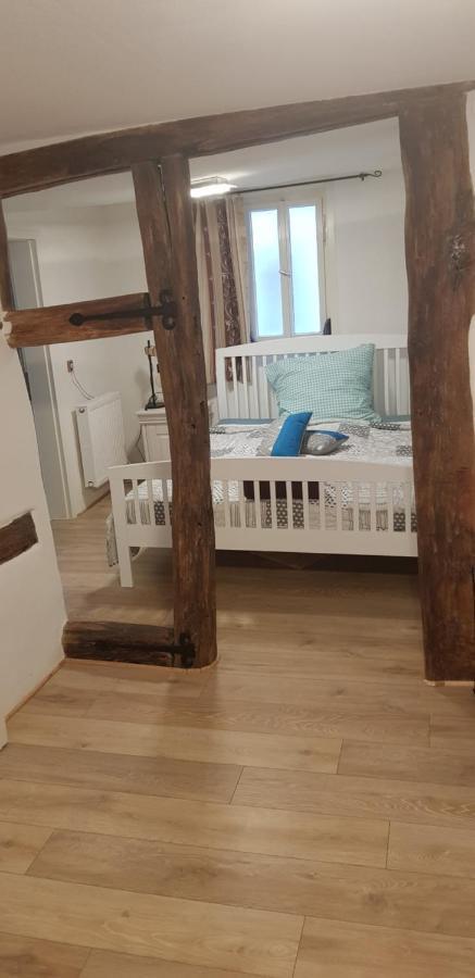 Zauberhafte Wohnung In Der Naehe Von Heidelberg, Top Lage Hirschhorn Exteriér fotografie