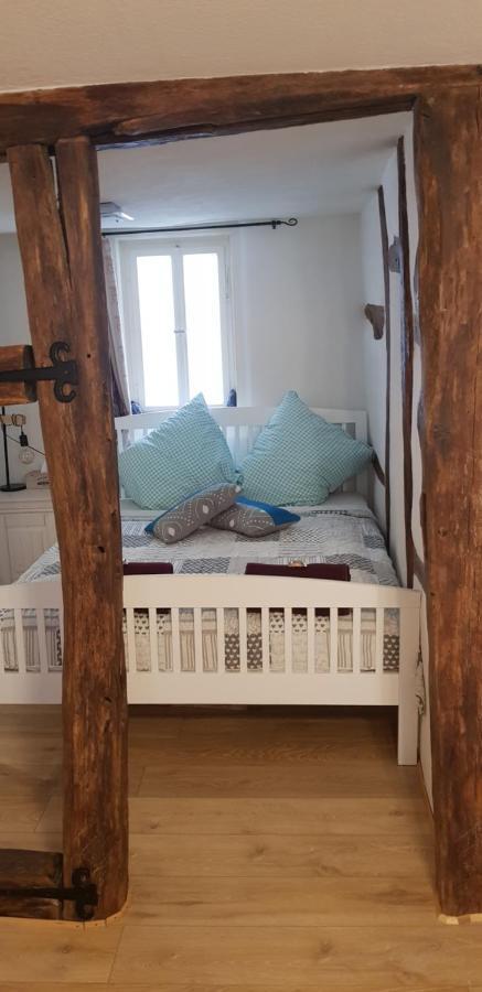 Zauberhafte Wohnung In Der Naehe Von Heidelberg, Top Lage Hirschhorn Exteriér fotografie