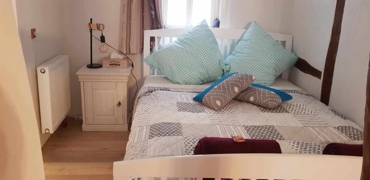 Zauberhafte Wohnung In Der Naehe Von Heidelberg, Top Lage Hirschhorn Exteriér fotografie