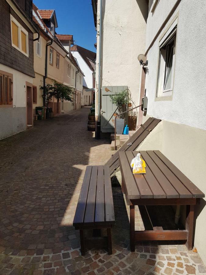 Zauberhafte Wohnung In Der Naehe Von Heidelberg, Top Lage Hirschhorn Exteriér fotografie