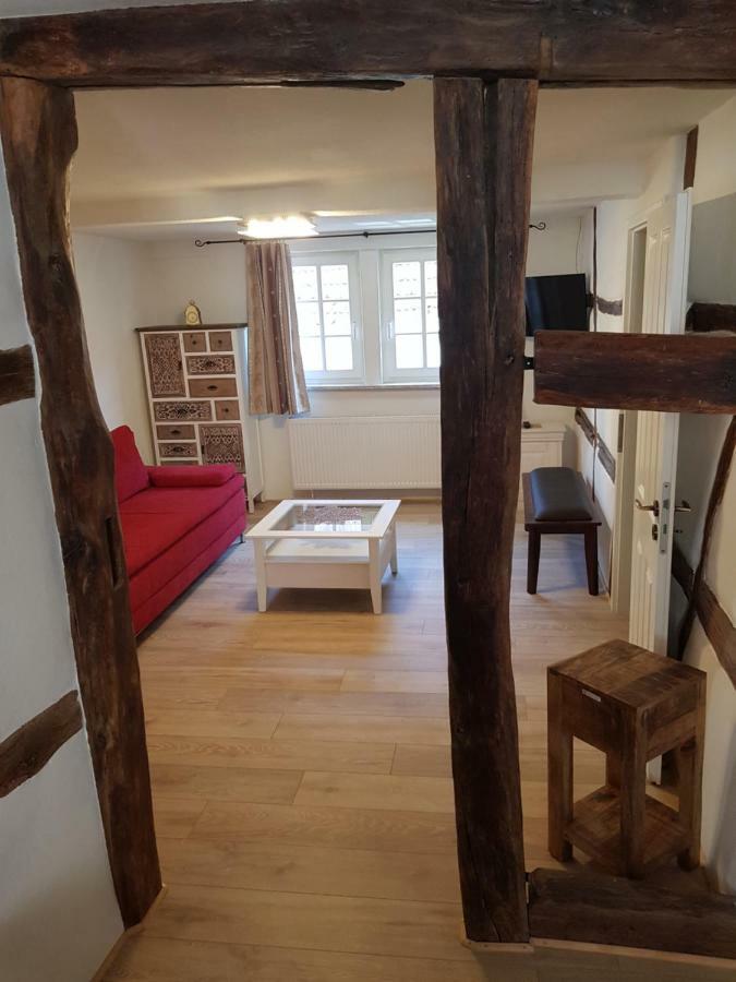 Zauberhafte Wohnung In Der Naehe Von Heidelberg, Top Lage Hirschhorn Exteriér fotografie