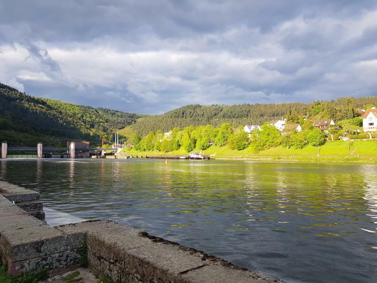 Zauberhafte Wohnung In Der Naehe Von Heidelberg, Top Lage Hirschhorn Exteriér fotografie