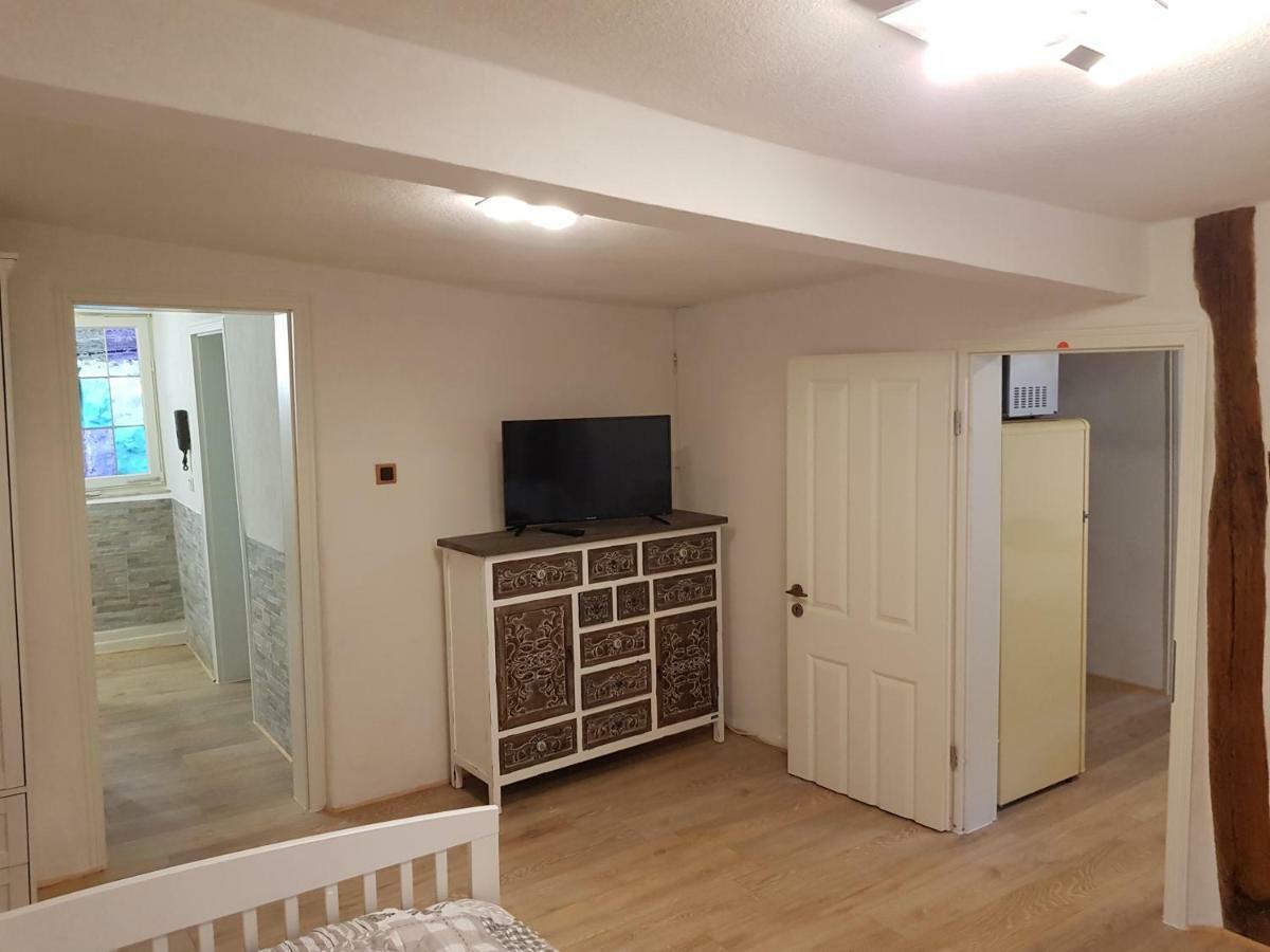Zauberhafte Wohnung In Der Naehe Von Heidelberg, Top Lage Hirschhorn Exteriér fotografie