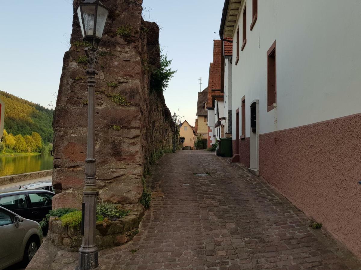 Zauberhafte Wohnung In Der Naehe Von Heidelberg, Top Lage Hirschhorn Exteriér fotografie