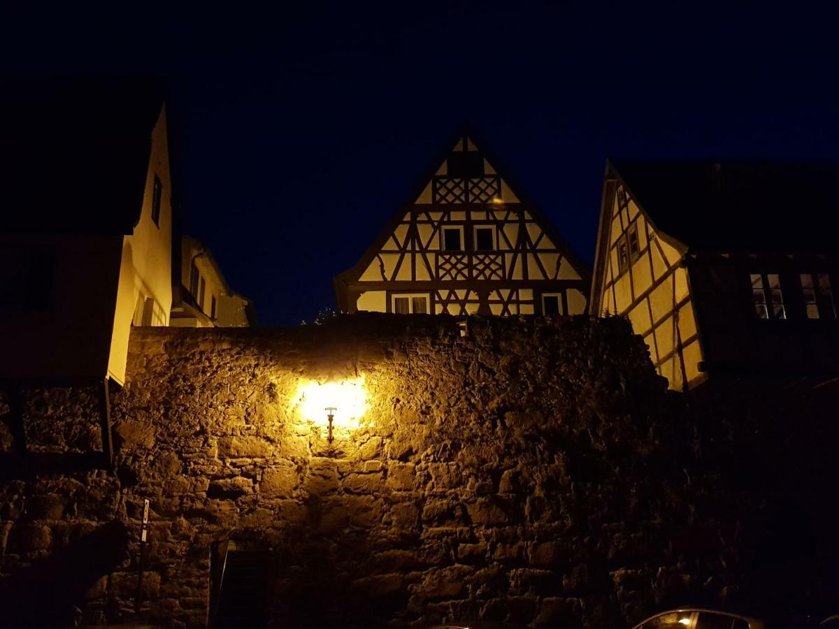 Zauberhafte Wohnung In Der Naehe Von Heidelberg, Top Lage Hirschhorn Exteriér fotografie