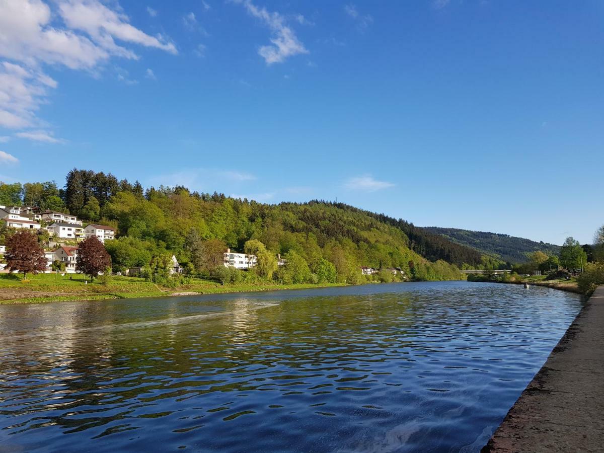Zauberhafte Wohnung In Der Naehe Von Heidelberg, Top Lage Hirschhorn Exteriér fotografie