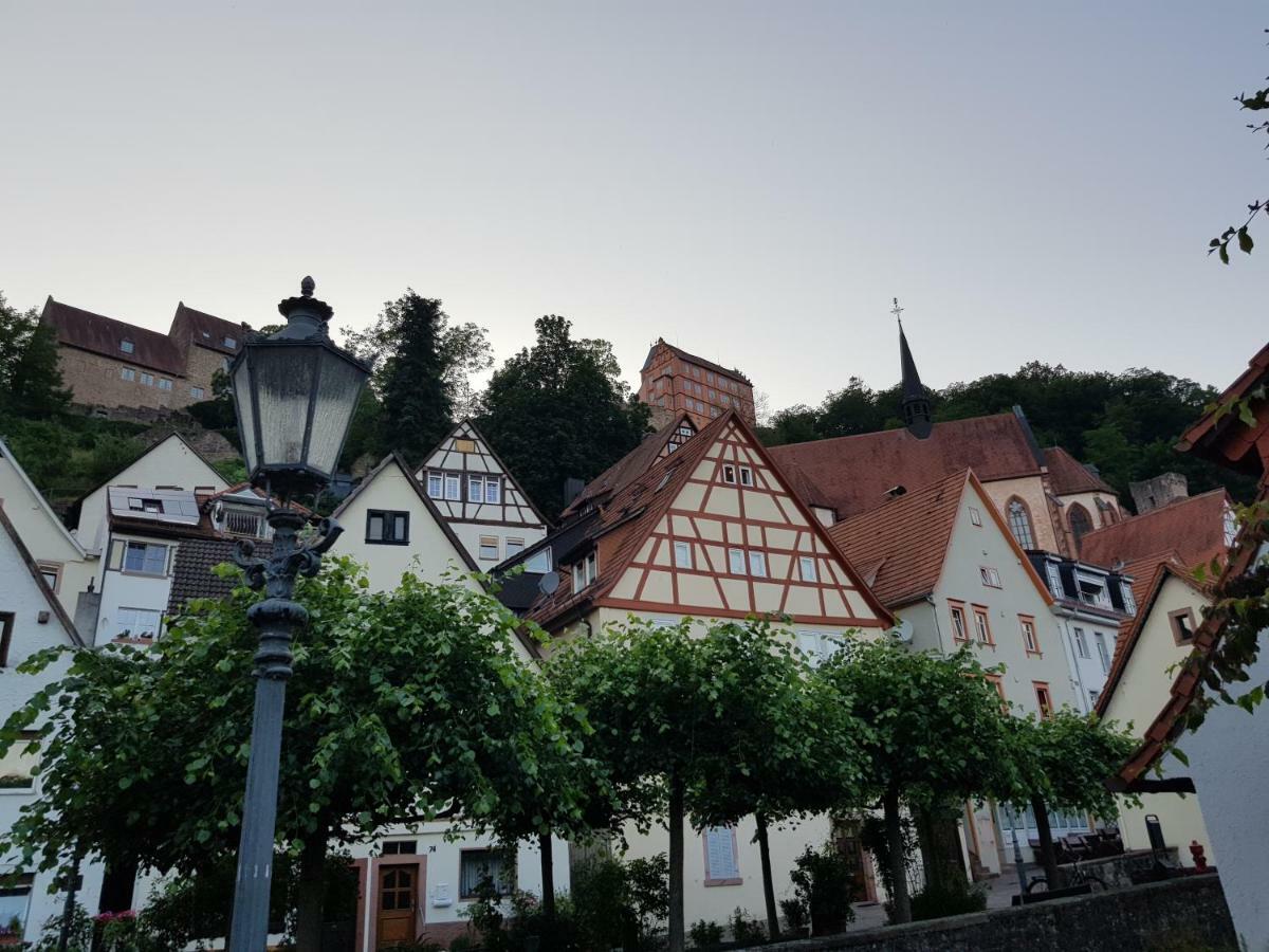 Zauberhafte Wohnung In Der Naehe Von Heidelberg, Top Lage Hirschhorn Exteriér fotografie
