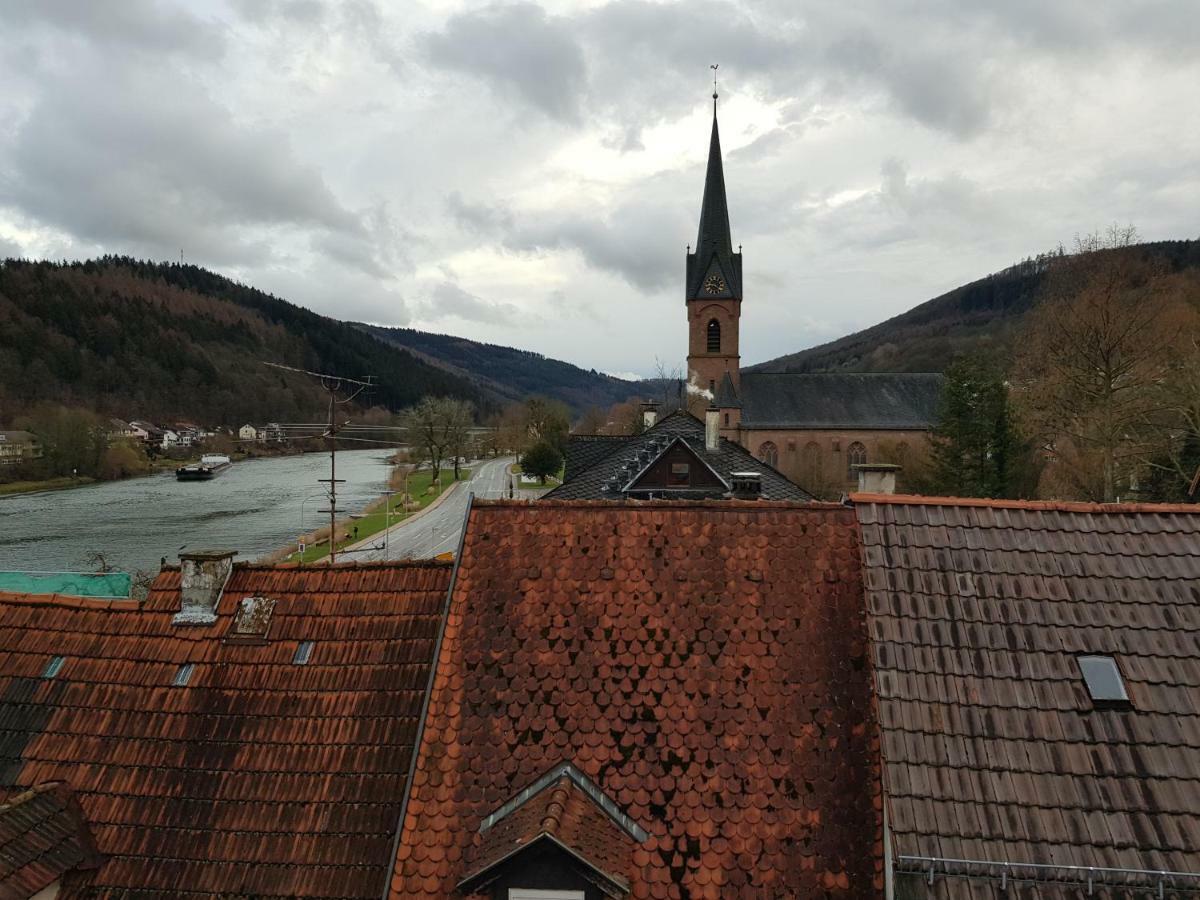 Zauberhafte Wohnung In Der Naehe Von Heidelberg, Top Lage Hirschhorn Exteriér fotografie