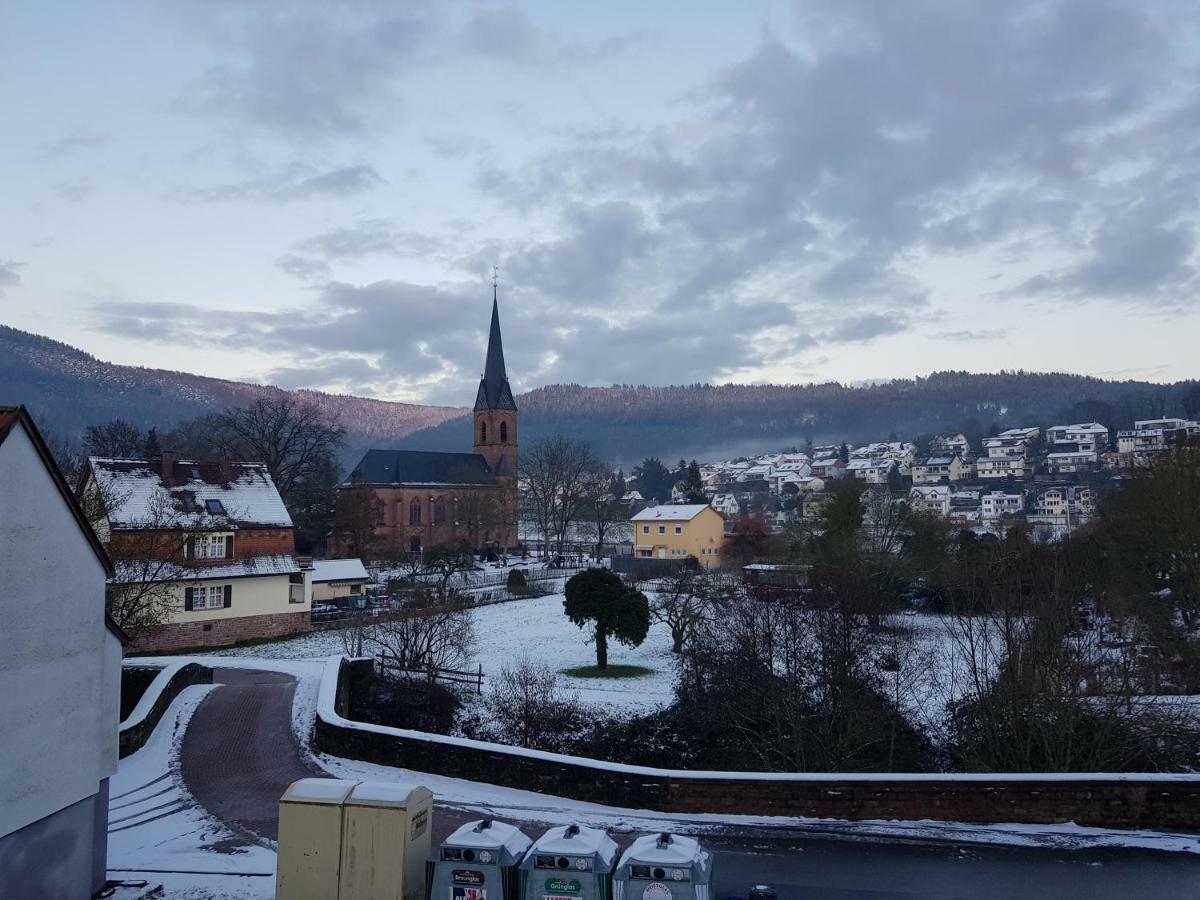 Zauberhafte Wohnung In Der Naehe Von Heidelberg, Top Lage Hirschhorn Exteriér fotografie