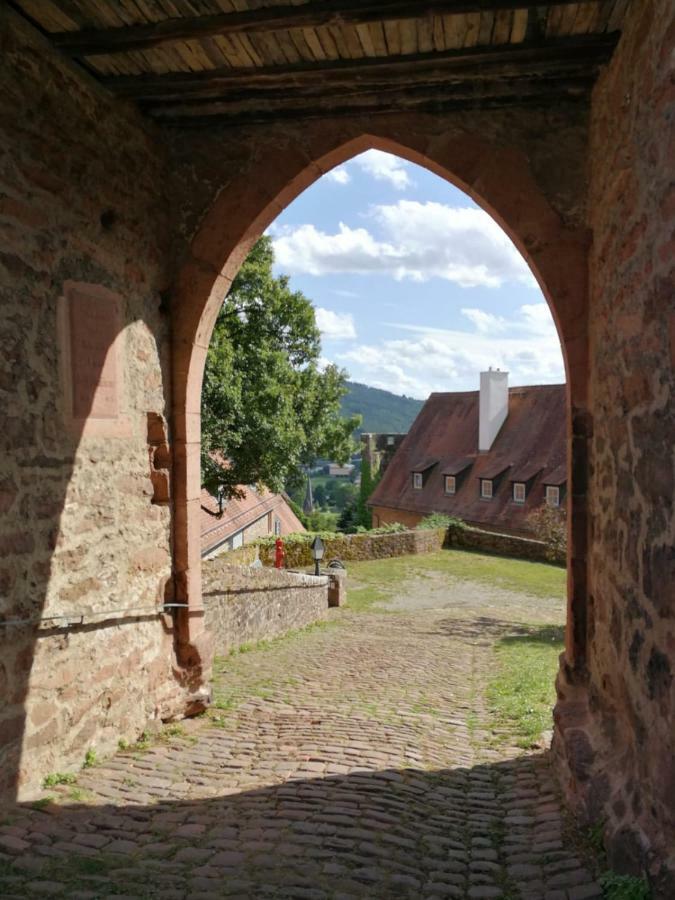 Zauberhafte Wohnung In Der Naehe Von Heidelberg, Top Lage Hirschhorn Exteriér fotografie