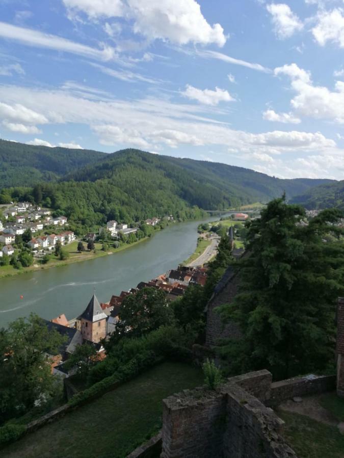 Zauberhafte Wohnung In Der Naehe Von Heidelberg, Top Lage Hirschhorn Exteriér fotografie