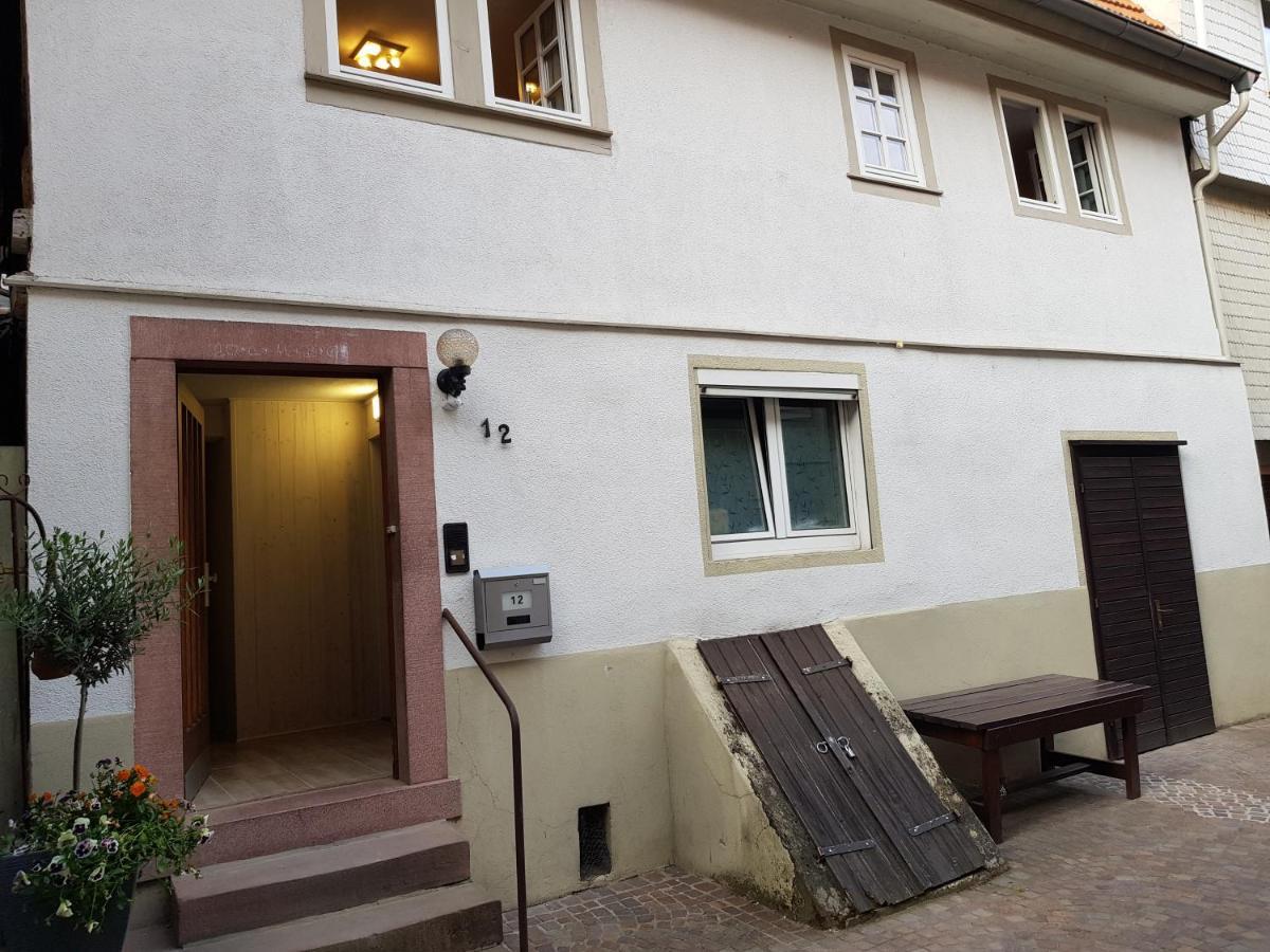 Zauberhafte Wohnung In Der Naehe Von Heidelberg, Top Lage Hirschhorn Exteriér fotografie