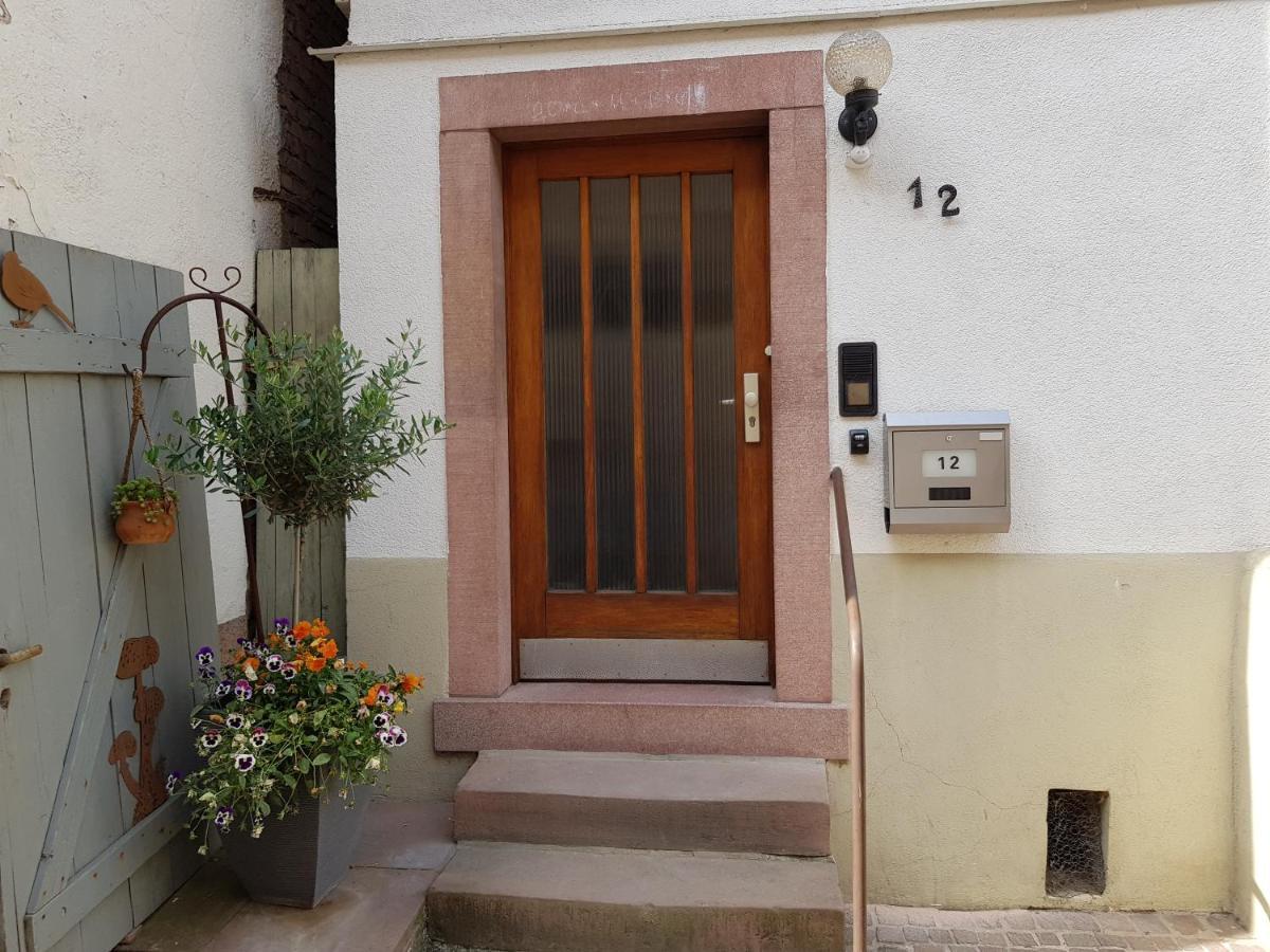 Zauberhafte Wohnung In Der Naehe Von Heidelberg, Top Lage Hirschhorn Exteriér fotografie